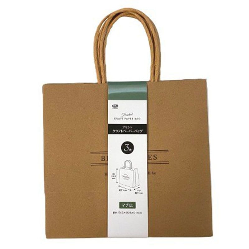クラフトバッグ　プリント　マチ広　３枚