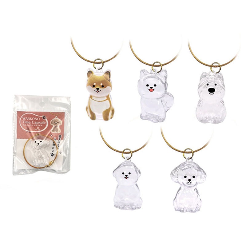 わんこのタイムカプセル