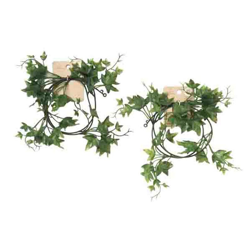 プラアイビーガーランド