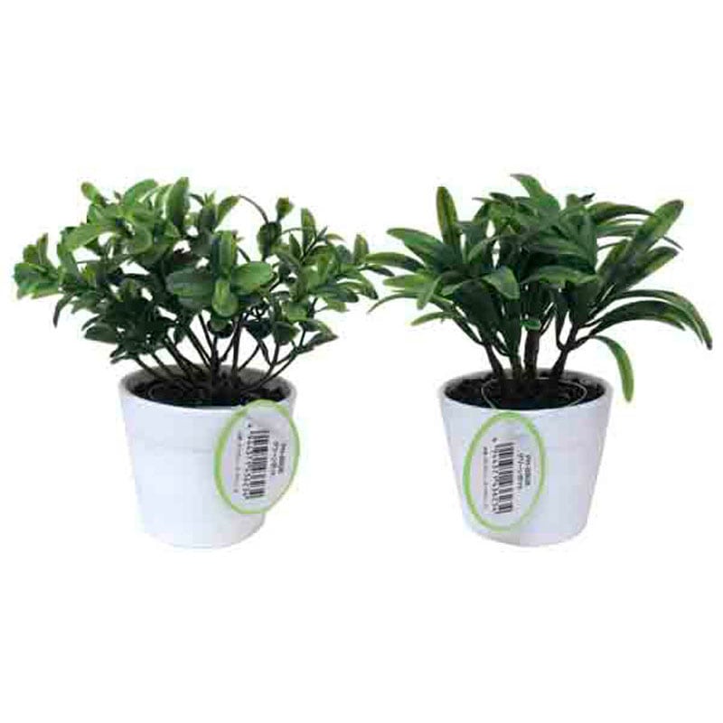 グリーンポット