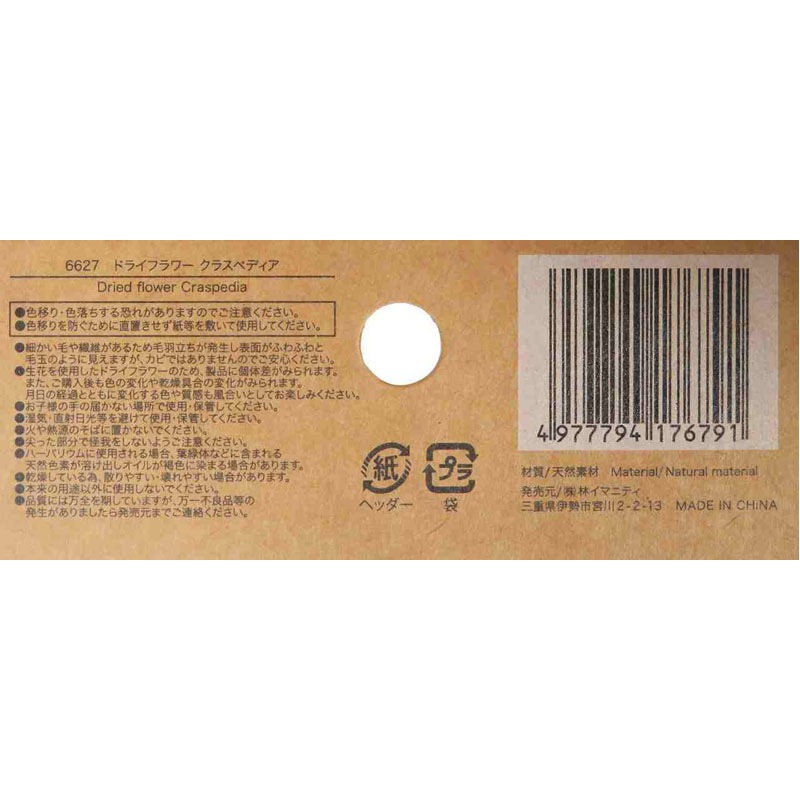 ドライフラワー　クラスペディア