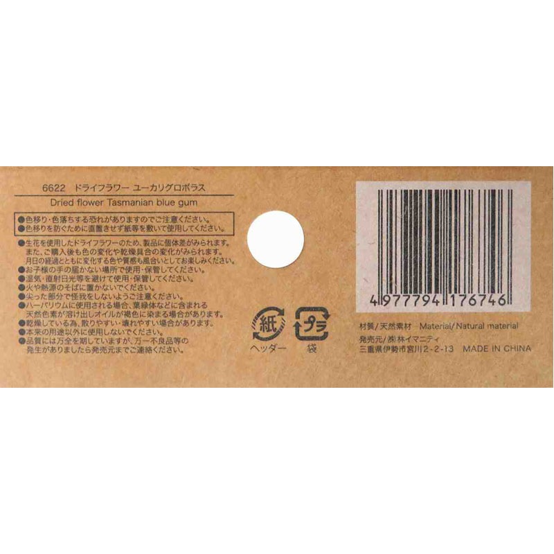 ドライフラワー ユーカリグロボラス【公式】≪1個からお届け≫Can☆Do