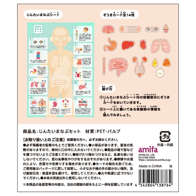 じんたいまなぶセット