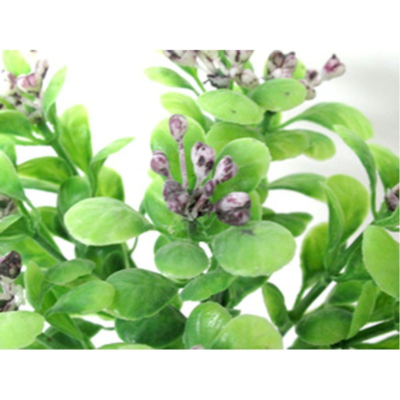 ミニベリーミックスバンチ