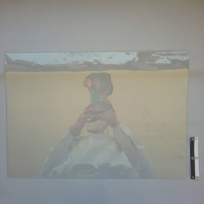 ソフトカードケースＡ３　１Ｐ