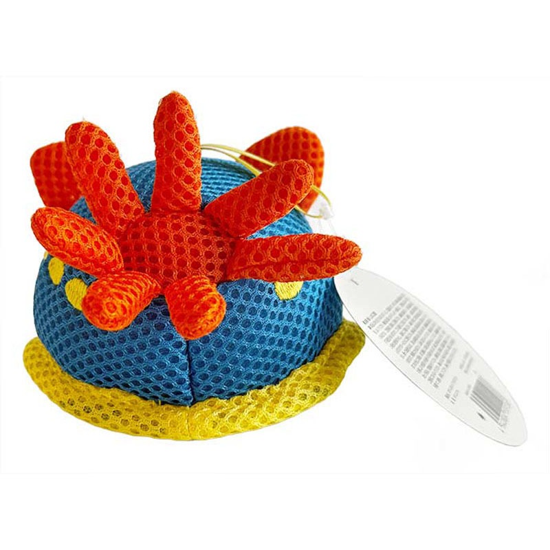 ボディスポンジ　アオウミウシ