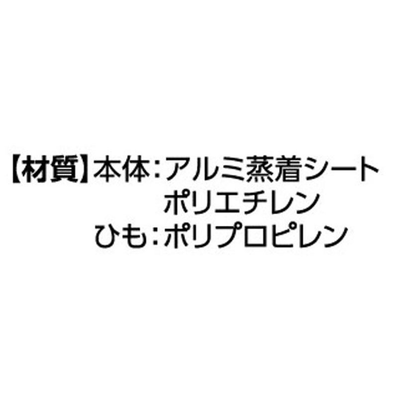 保冷保温ランチバッグ　大