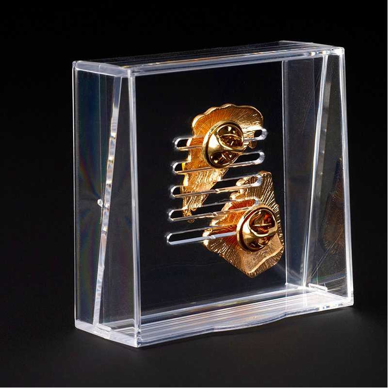 Aimerピンバッジ全種類＋ケース Aimerピンバッジ全種類＋ケース