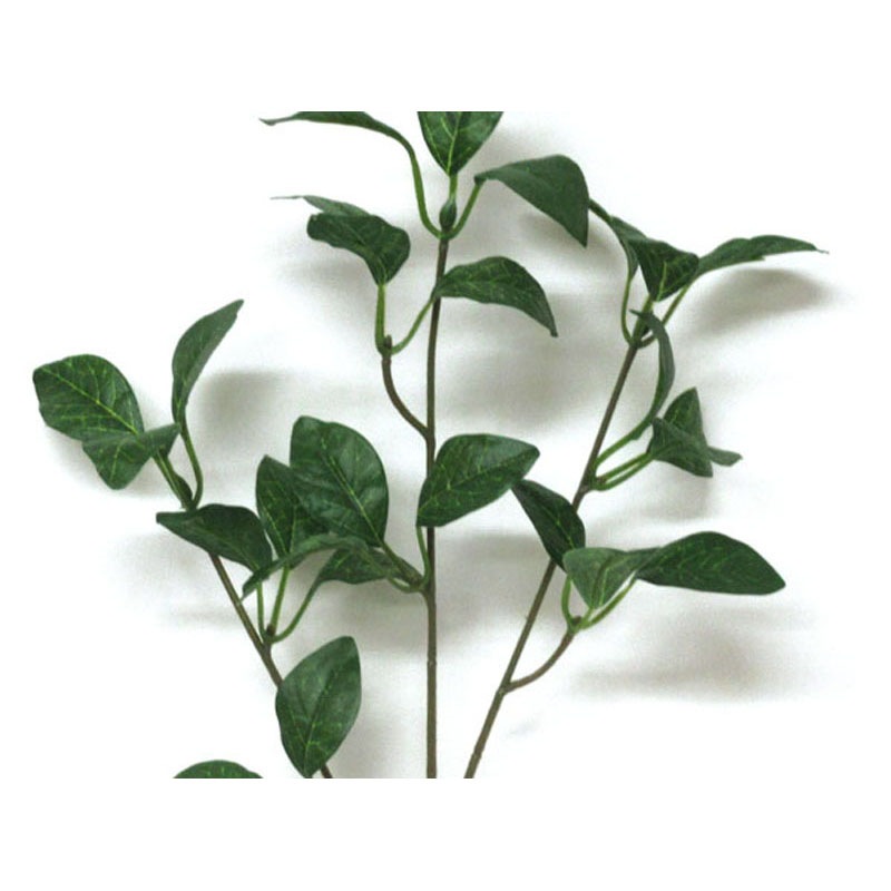 リーフ　スプレー