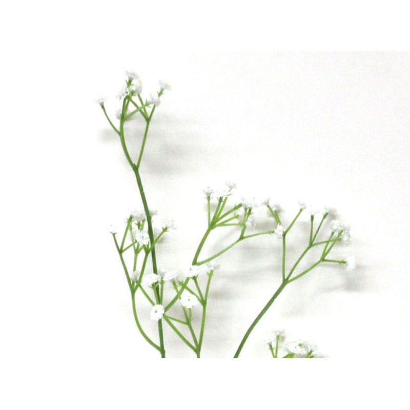 プラカスミ　スプレー