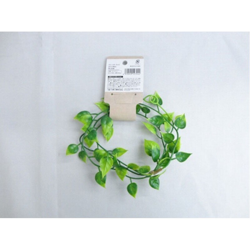 グリーンガーランド　ポトス