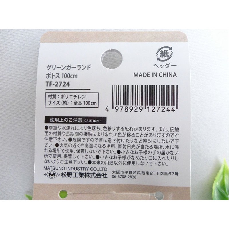 グリーンガーランド　ポトス