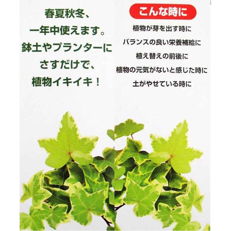 活力剤　観葉植物用　８Ｐ