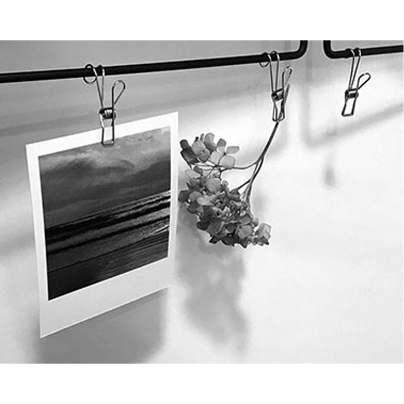 まみ2点お纏めページ✩.*˚ ハンギングバードアイアン✩サンキッチャー まみ様専用2点お纏めページ✩.*˚ ハンギングバードアイアン✩サン