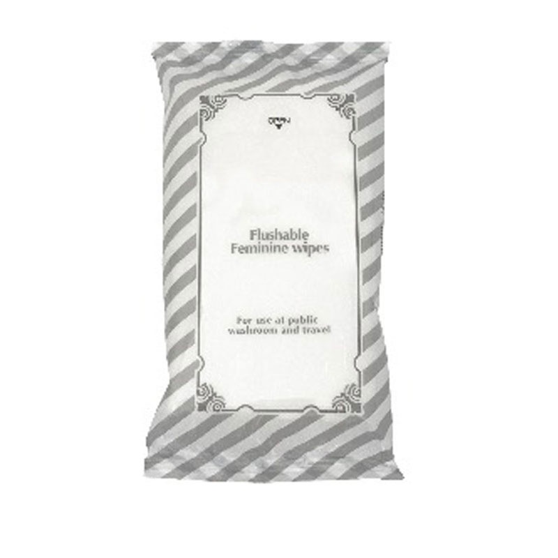 流せるデリケートウェット　１０枚２Ｐ