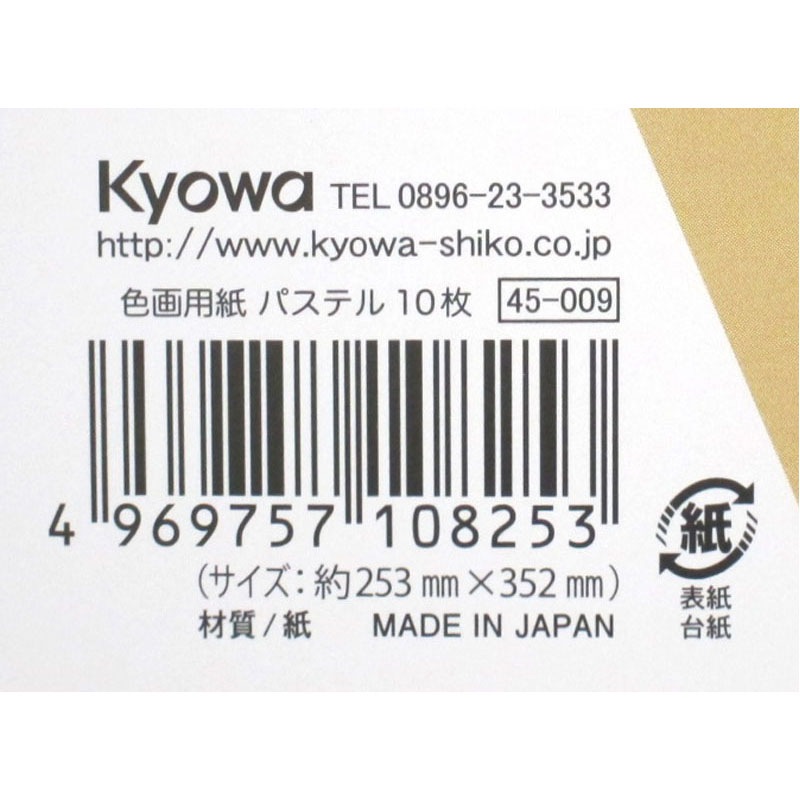 色画用紙　大（パステル）　１０Ｐ