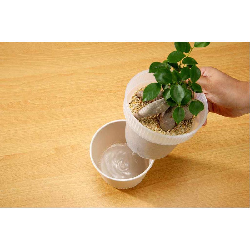 観察できる植木鉢【公式】≪1個からお届け≫Can☆Doネットショップ