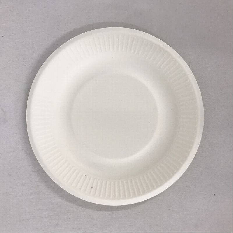 環境に優しいプレート　１５．５ＣＭ　１２Ｐ