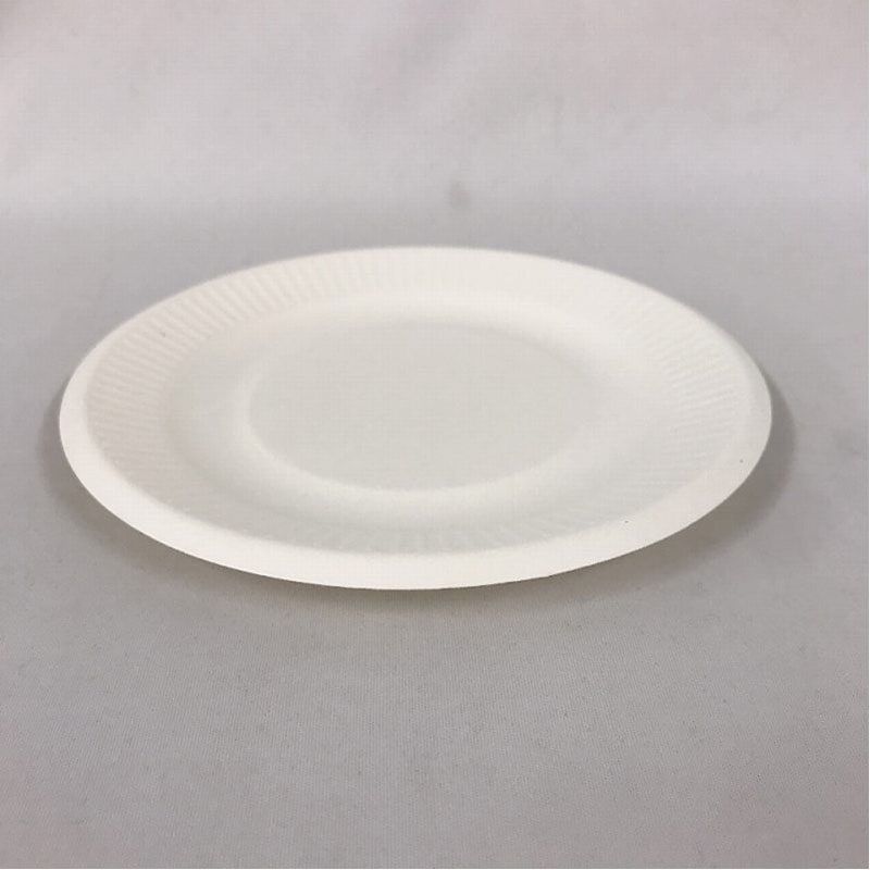 環境に優しいプレート　１５．５ＣＭ　１２Ｐ