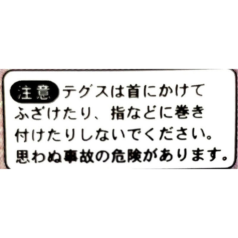 のびるテグス　０．５ｍｍ