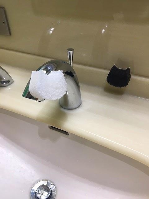 ペタッと貼り付くネコピカスポンジ 2P【公式】≪1個からお