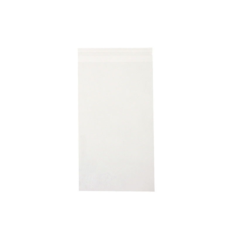クリアバッグ糊付１５Ｐ　１５０×２５０ｍｍ