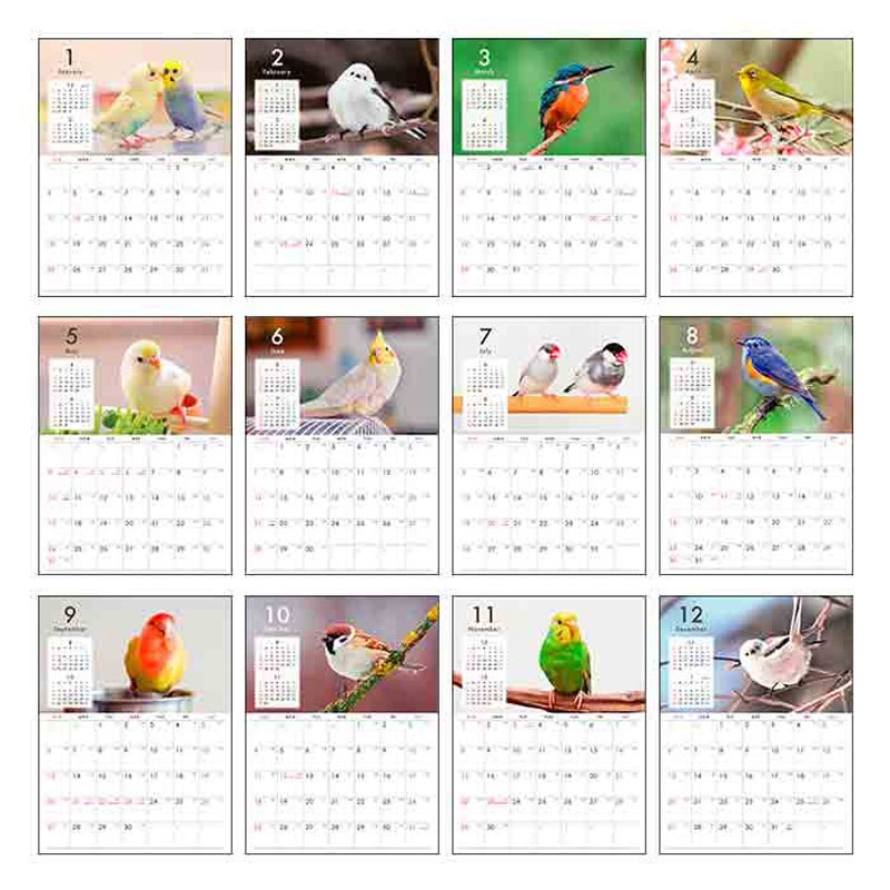 ２６カレンダー　Ａ４　トリ写真