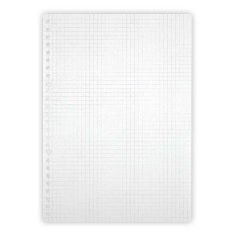 B5ルーズリーフC方眼罫60枚 26穴【公式】≪1個からお届け≫Can