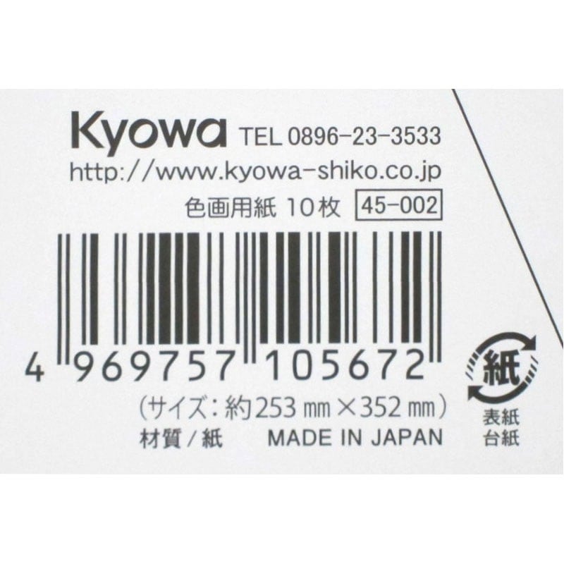 色画用紙　大１０Ｐ