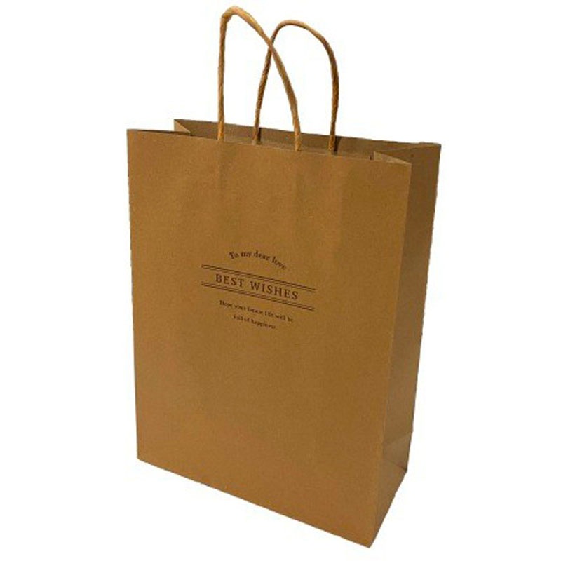 クラフトバッグ　プリント　Ｍ　２枚