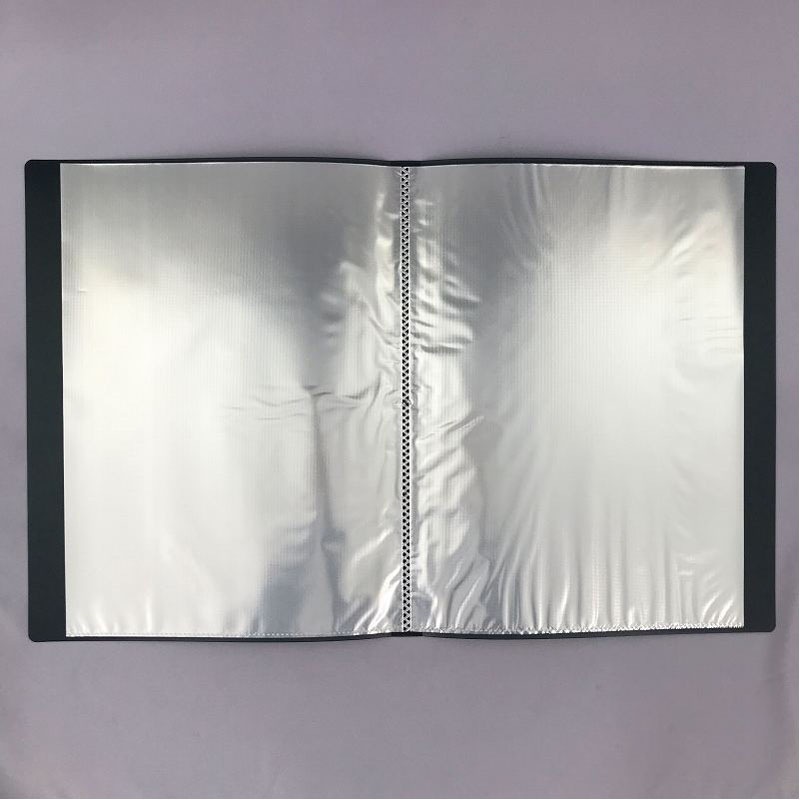 Ａ４クリアファイル３０Ｐ　ＣＤＧ