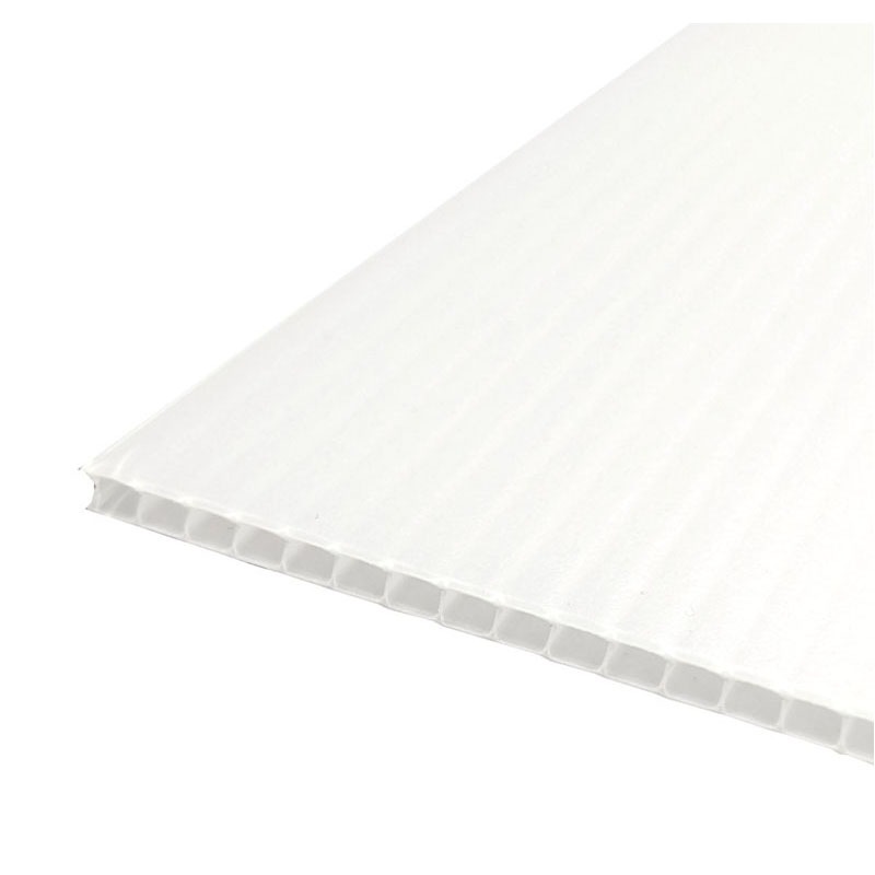 プラダン　ホワイト