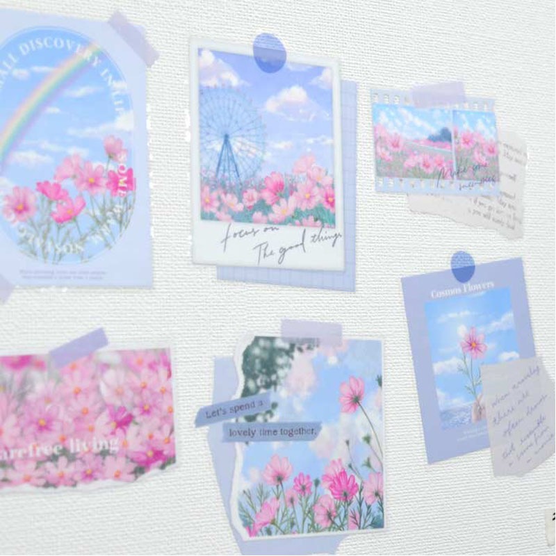 クリアウォールステッカー　コスモスの花