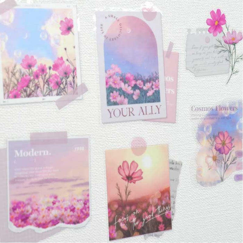 クリアウォールステッカー　コスモスの花