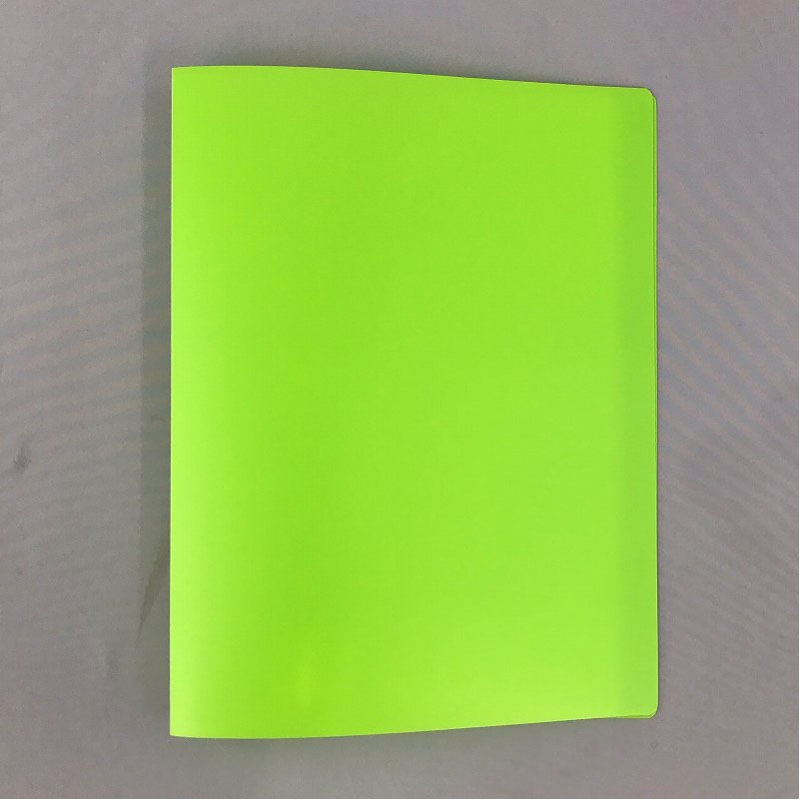 Ａ４クリアファイル３０Ｐ　ＬＧＲ