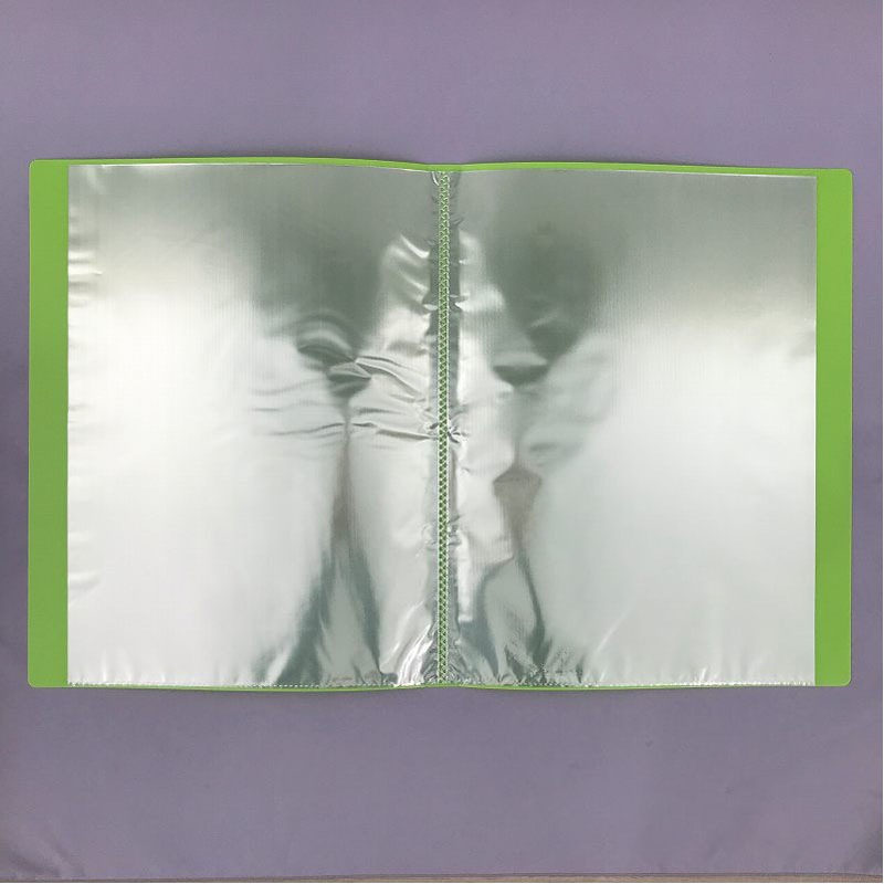 Ａ４クリアファイル３０Ｐ　ＬＧＲ