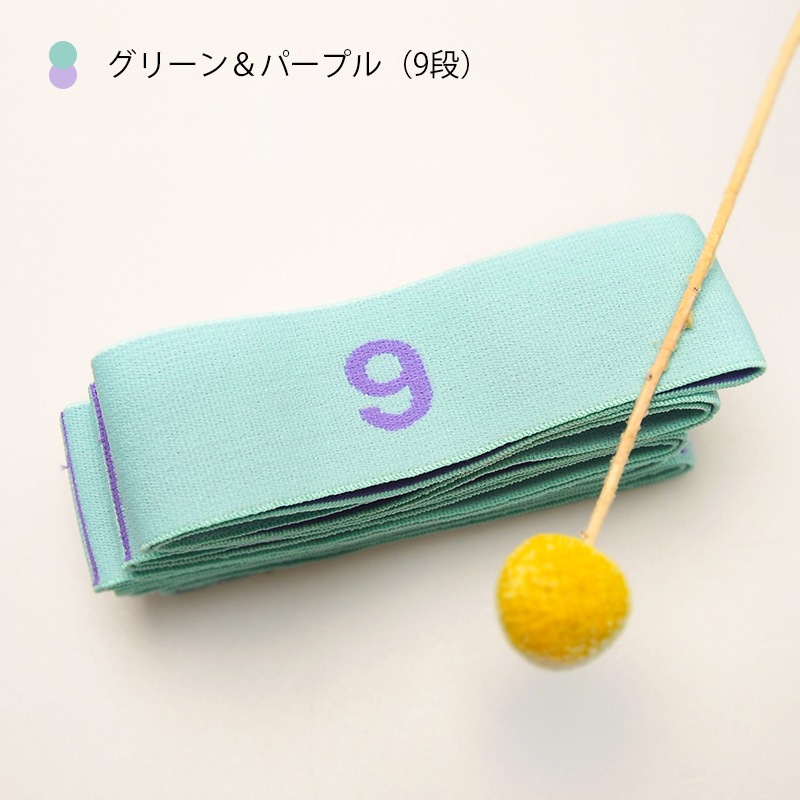 ダンスバンドJSM8024