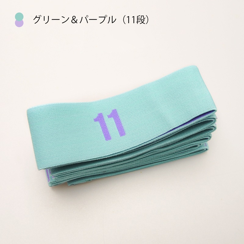 ダンスバンドJSM8024