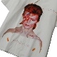 Aladdin Sane POHTO ALOHA SHIRT