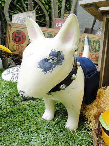 �֥�ƥꥢ�����åɥ��֥������ʥѥѥ֥�ƥꥢ��