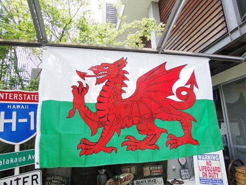 �������륺������ӥå��������ե�å�