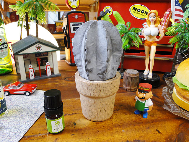 サボテン ECOコンクリート ディフューザー （アロマオイル5ml付属）の