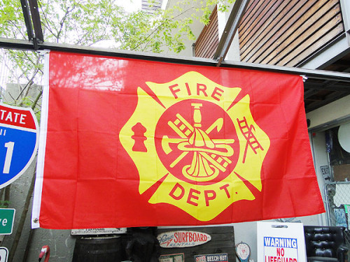 �ե����䡼�ǥץȡ��ӥå��������ե�å����ʥ�������������