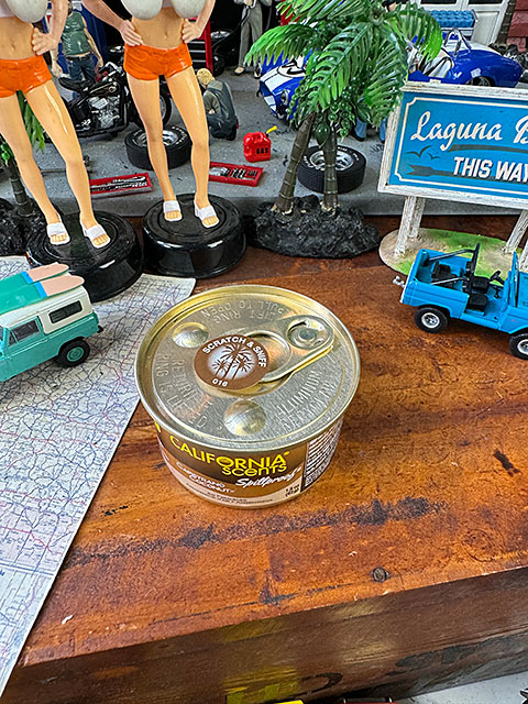 カリフォルニアセンツ スピルプルーフオーガニック 車用芳香剤