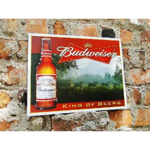 �Хɥ磻���������󥰡����֡��ӥ������֥ꥭ����