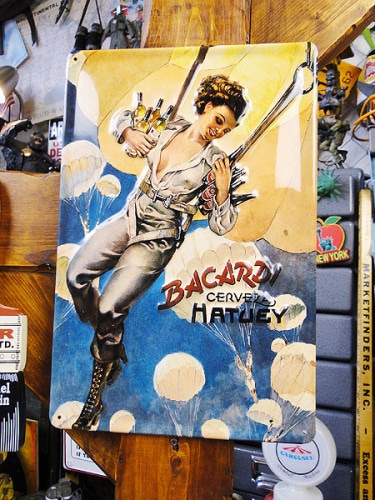 �����Τ���3D�ѥ֥����󡡡ʥХ���ǥ����ѥ饷�塼�ȡ�