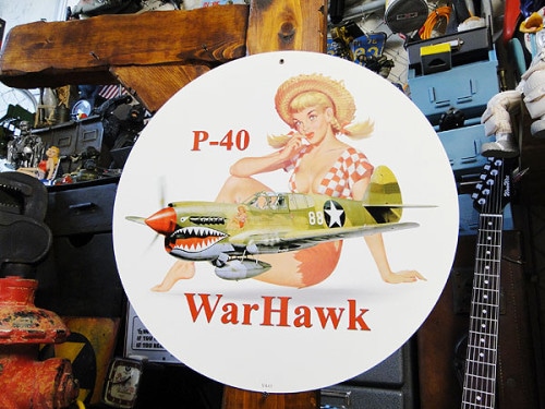 ԥʥåץƮU.S.إ륵P-40WarHawk/饦ɥס