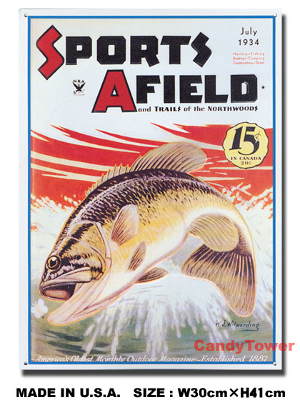 SPORTS AFIELD��JULY 1934���֥ꥭ����
