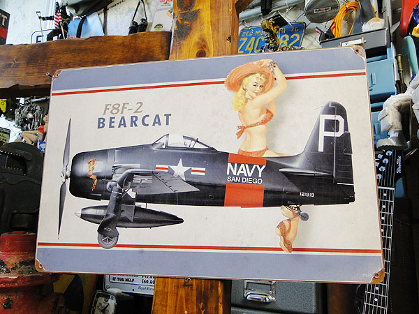 ☆稀少な絶盤品☆ ピンナップガール ＆ 戦闘機 U.S.ヘヴィースチール
