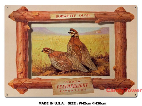 ����������-����󥦥���-���֥ꥭ����